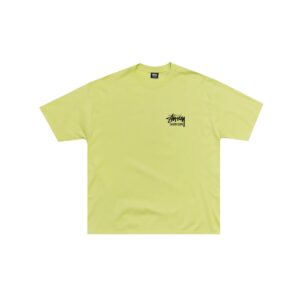 StussyAmsterdamGreenTee3