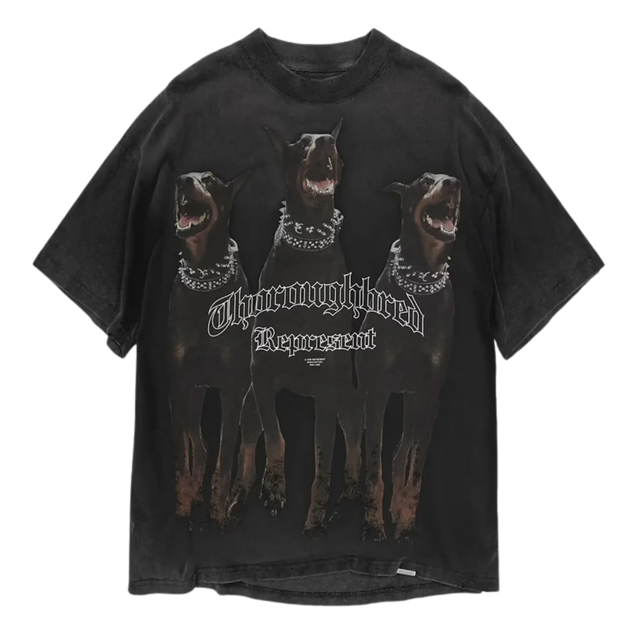 Represent Thoroughbred Tee 'Black'