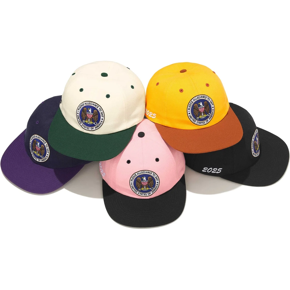 Supreme Pledge Allegiance 6-Panel