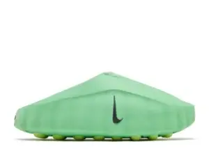 Cucumber Clam